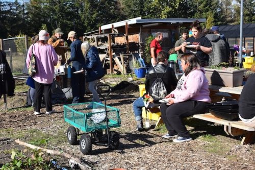 2025 October Harvest Fest - October 18 - Bybee Lakes Victory Garden