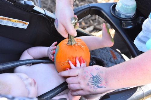 2025 October Harvest Fest - October 18 - Bybee Lakes Victory Garden - pumpkin painting