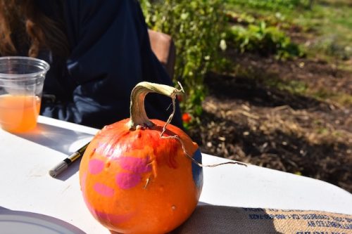 2025 October Harvest Fest - October 18 - Bybee Lakes Victory Garden - guest photo