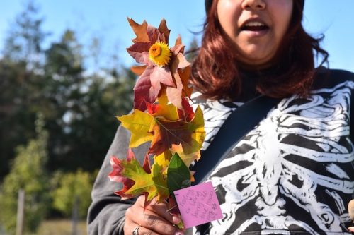 2025 October Harvest Fest - October 18 - Bybee Lakes Victory Garden - guest photo