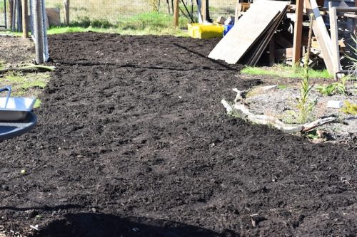 2025 October Harvest Fest - October 18 - Bybee Lakes Victory Garden - pathway bark