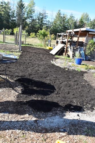 2025 October Harvest Fest - October 18 - Bybee Lakes Victory Garden - pathway bark