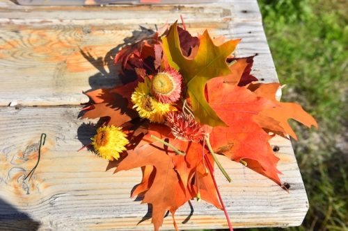 2025 October Harvest Fest - October 18 - Bybee Lakes Victory Garden - Autumn leaf ornament