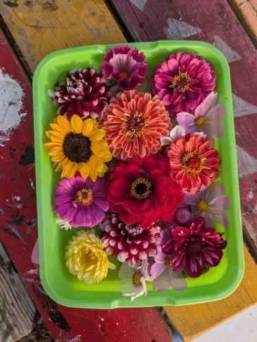 Summer 2026 CSA Bouquets