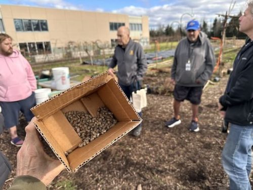 Bybee Lakes Victory Garden Mason Bee workshop, March 2026