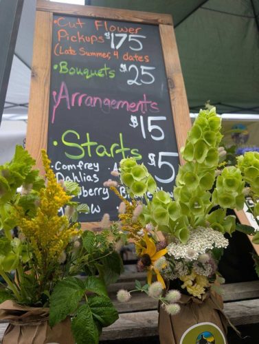 VetREST - St Johns Farmer's Market Outreach - Summer 2026