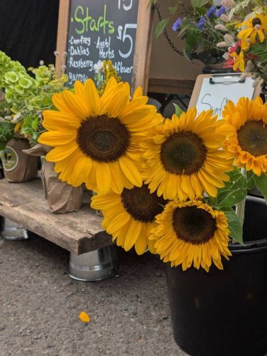VetREST - St Johns Farmer's Market Outreach - Summer 2026