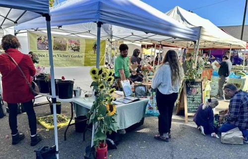 VetREST - St Johns Farmer's Market Outreach - Summer 2026