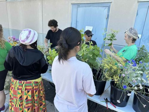 Therapeutic Horticulture
