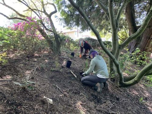 Cathedral Park Planting April 2025