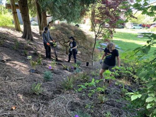 Cathedral Park Planting April 2025