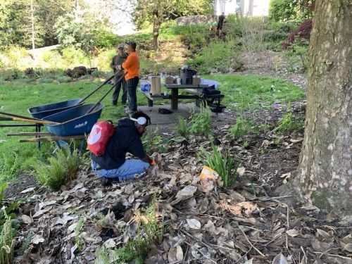 Cathedral Park Planting April 2025