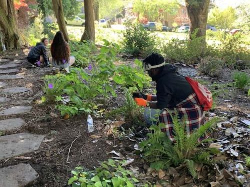 Cathedral Park Planting April 2025