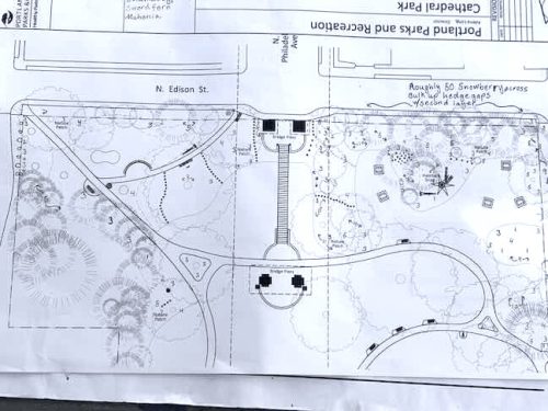 Cathedral Park Planting April 2025