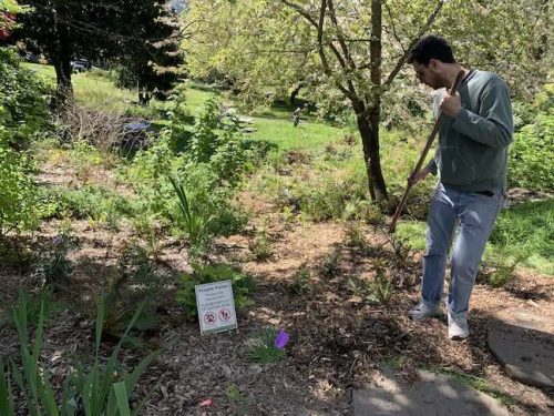 Cathedral Park Planting April 2025