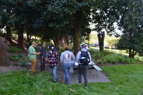 Cathedral Park Planting April 2025