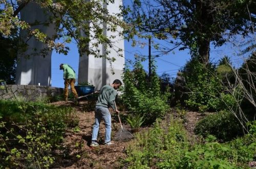 Cathedral Park Planting April 2025