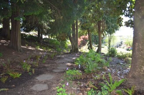 Cathedral Park Planting April 2025