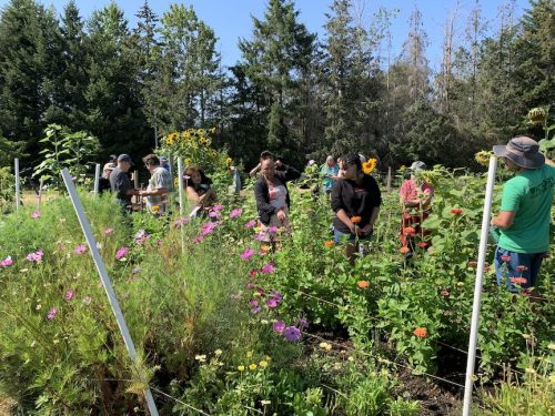 Bybee Lakes Harvest Fest - August 2026