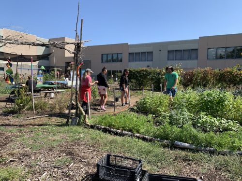 Bybee Lakes Harvest Fest - August 2026