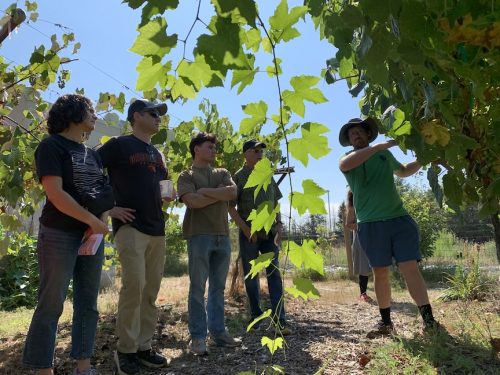 Bybee Lakes Harvest Fest - August 2026