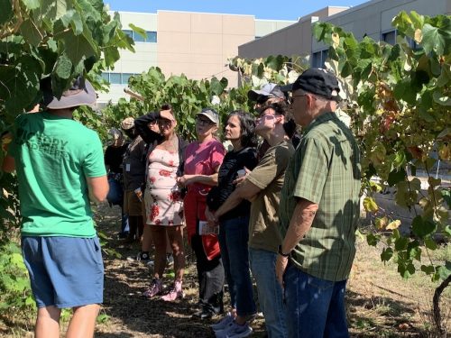 Bybee Lakes Harvest Fest - August 2026