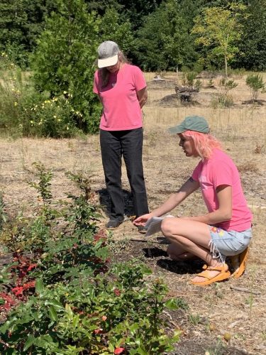 Bybee Lakes Harvest Fest - August 2026