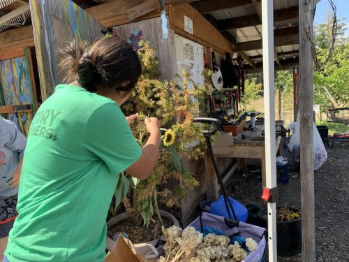 Bybee Lakes Harvest Fest - August 2026