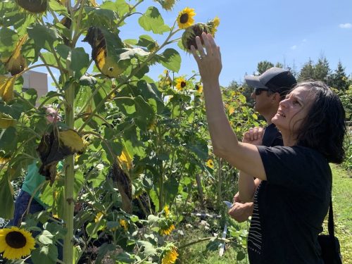 Bybee Lakes Harvest Fest - August 2026
