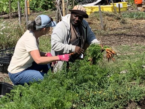Bybee Lakes Harvest Fest - August 2026