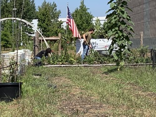 Bybee Lakes Harvest Fest - August 2026