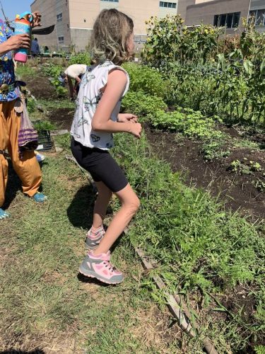 Bybee Lakes Harvest Fest - August 2026