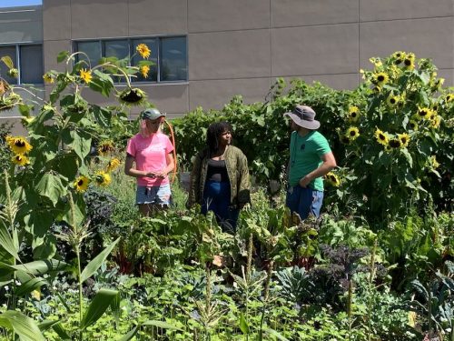 Bybee Lakes Harvest Fest - August 2026