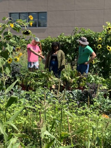 Bybee Lakes Harvest Fest - August 2026