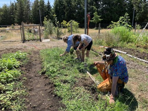 Bybee Lakes Harvest Fest - August 2026