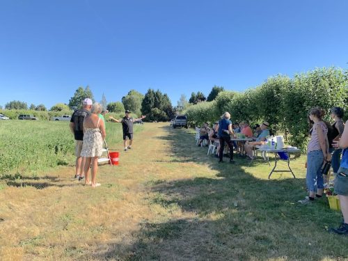 Photo of VetREST 2026 Cherry Picking Potluck event – June 17, Hillsboro