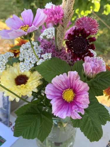 Photo of VetREST 2026 Cherry Picking Potluck event – June 17, Hillsboro