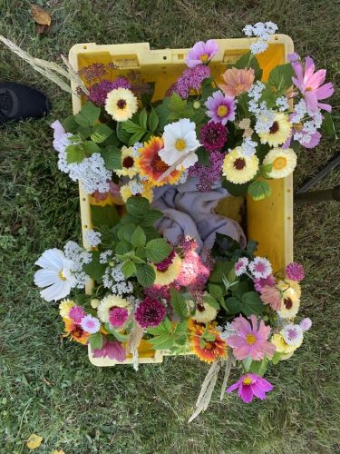 Photo of VetREST 2026 Cherry Picking Potluck event – June 17, Hillsboro