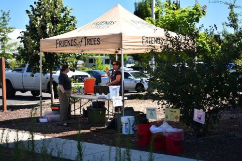 Stand Together Day work party with the Timbers, Friends of Trees, Youth Corps, and VetREST at Bybee Lakes Victory Garden, July 2025
