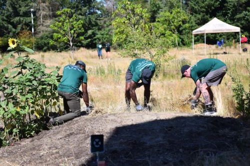 Stand Together Day work party with the Timbers, Friends of Trees, Youth Corps, and VetREST at Bybee Lakes Victory Garden, July 2025