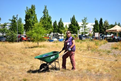 Stand Together Day work party with the Timbers, Friends of Trees, Youth Corps, and VetREST at Bybee Lakes Victory Garden, July 2025