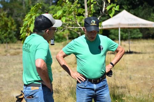 Stand Together Day work party with the Timbers, Friends of Trees, Youth Corps, and VetREST at Bybee Lakes Victory Garden, July 2025
