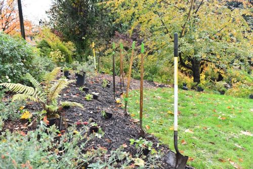 Cathedral Park Planting November 2025