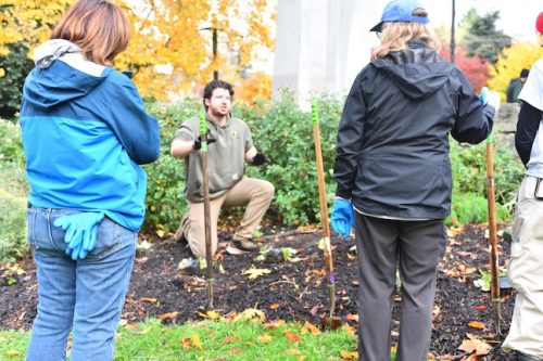 Cathedral Park Planting November 2025