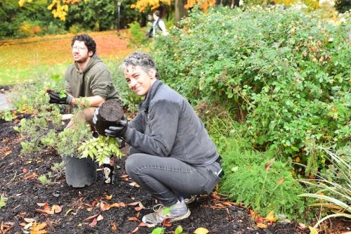 Cathedral Park Planting November 2025