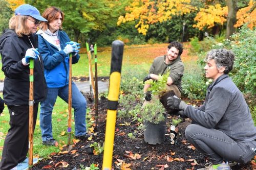 Cathedral Park Planting November 2025