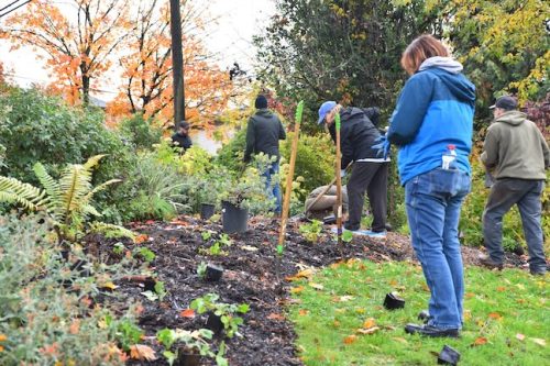 Cathedral Park Planting November 2025