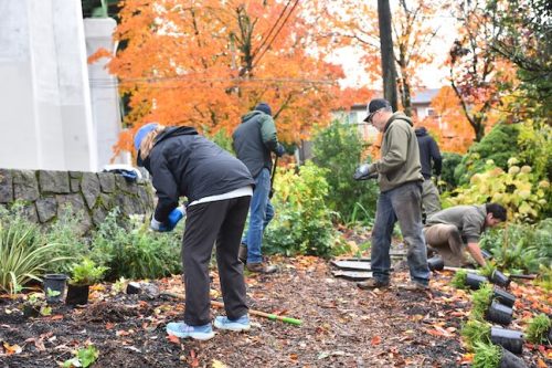 Cathedral Park Planting November 2025