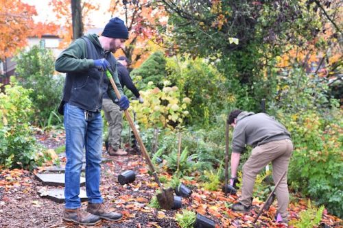 Cathedral Park Planting November 2025