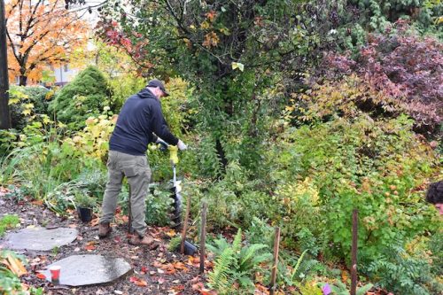 Cathedral Park Planting November 2025